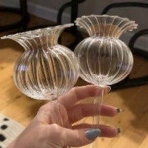 Plant Waterer Self Watering Globes-Self Watering Spikes with Corks